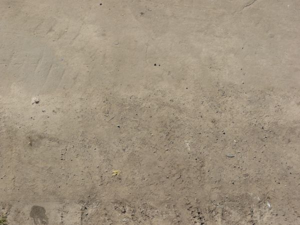 Tan asphalt texture, covered by a layer of sandy soil with marks, tire treads and rocks visible in it.